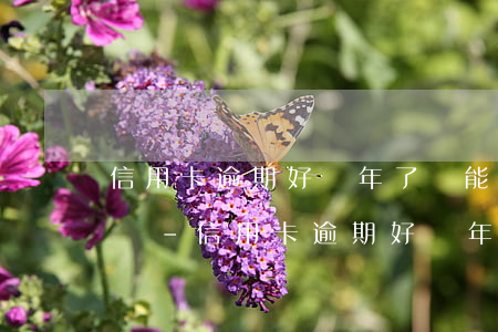 信用卡逾期好幾年了還能協(xié)商還嗎-信用卡逾期好幾年了還能協(xié)商還嗎