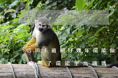 信用卡逾期好幾年還能做高鐵嗎-我信用卡逾期了還能坐高鐵嗎