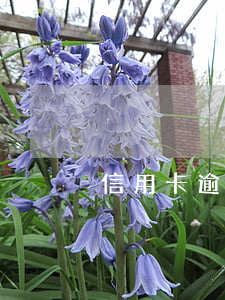 信用卡逾期好恐怖-有信用卡逾期的嗎