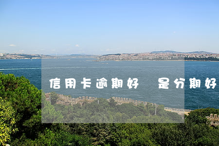 信用卡逾期好還是分期好(信用卡分期好嗎)