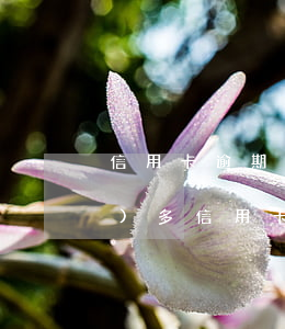 信用卡逾期如何2年不被起訴(兩萬(wàn)多信用卡逾期三個(gè)月被起訴怎么辦)