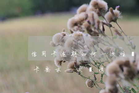 信用卡逾期如何一次性還清(逾期三個月信用卡要求一次還清)