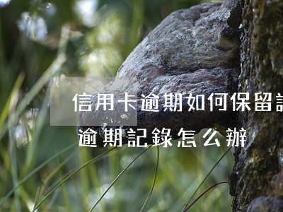 信用卡逾期如何保留證據(jù)(信用卡有逾期記錄怎么辦)