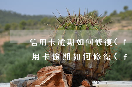 信用卡逾期如何修復(fù)征信要多久(信用卡逾期如何修復(fù)征信要多久)