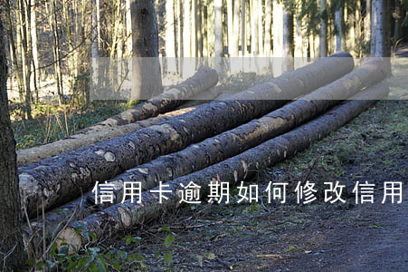 信用卡逾期如何修改(信用卡 逾期了怎么辦)