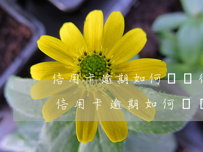 信用卡逾期如何個銀行協(xié)商還款(信用卡逾期如何個銀行協(xié)商還款)