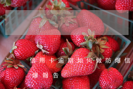 信用卡逾期如何做防爆 信用卡逾期如何做防爆報告