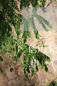 信用卡逾期如何停息掛賬銀行(欠信用卡可以申請(qǐng)停息掛賬嗎)
