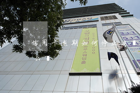信用卡逾期如何停止追賬(信用卡逾期賬單怎么還)