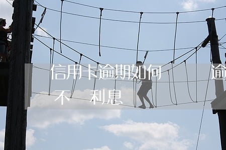 信用卡逾期如何償還(還逾期信用卡怎么才能不還利息)