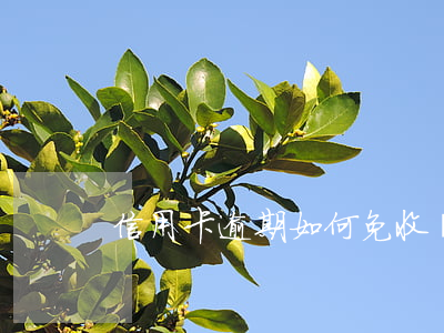 信用卡逾期如何免收滯納金(逾期收取滯納金)
