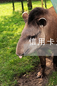 信用卡逾期如何出國(出國怎么還信用卡)