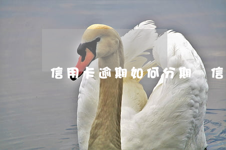 信用卡逾期如何分期還(信用卡逾期如何分期還)