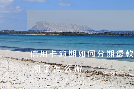 信用卡逾期如何分期還款(信用卡分期之后逾期了怎么辦)
