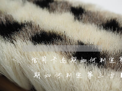 信用卡逾期如何判定第三方電話-信用卡逾期如何判定第三方電話詐騙