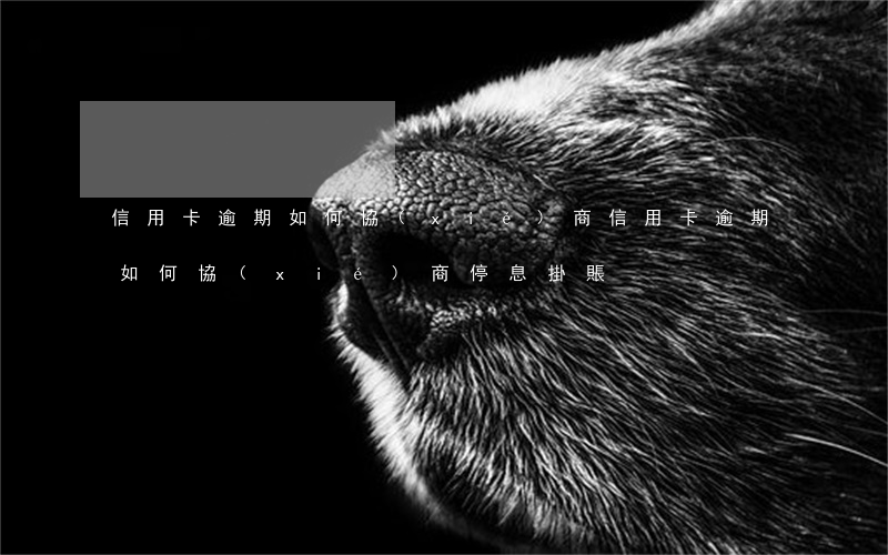 信用卡逾期 如何協(xié)商(信用卡逾期如何協(xié)商停息掛賬)