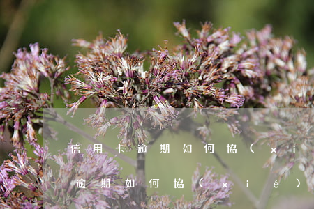 信用卡逾期如何協(xié)商減息(信用卡逾期如何協(xié)商減息)