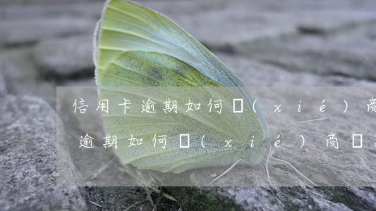 信用卡逾期如何協(xié)商還款，信用卡逾期如何協(xié)商還款方案