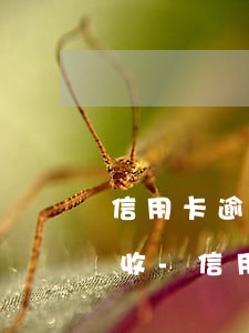 信用卡逾期如何協(xié)商還款停止催收-信用卡逾期如何協(xié)商還款停止催收業(yè)務(wù)