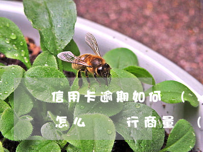 信用卡逾期如何協(xié)商還款方式-怎么與銀行商量協(xié)商信用卡逾期還款事宜