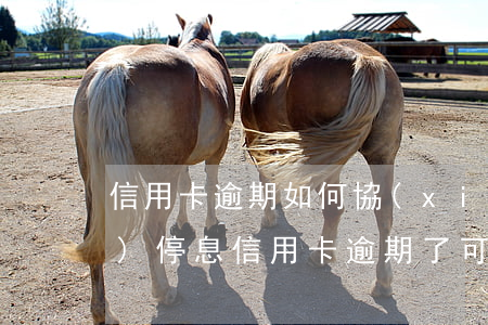 信用卡逾期如何協(xié)調(diào)停息(信用卡逾期了可以申請(qǐng)停息嗎)