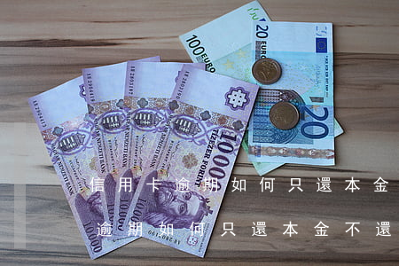 信用卡逾期如何只還本金不還利息-信用卡逾期如何只還本金不還利息呢