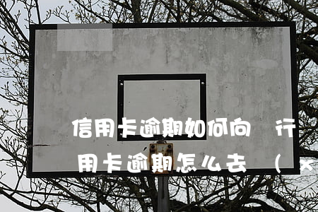 信用卡逾期如何向銀行協(xié)商(欠信用卡逾期怎么去協(xié)商)