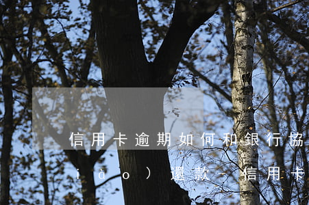 信用卡逾期如何和銀行協(xié)調(diào)還款-信用卡逾期如何和銀行協(xié)調(diào)還款呢