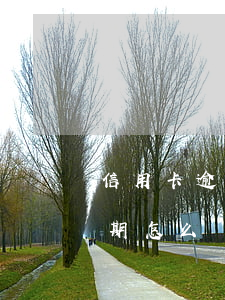 信用卡逾期如何和銀行商談(銀行對信用卡逾期怎么處理)
