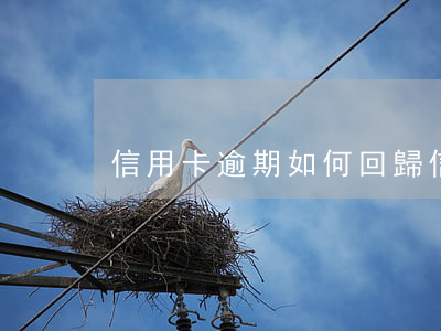 信用卡逾期如何回歸(信用卡逾期)