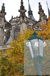 信用卡逾期如何寫說明(信用卡逾期流程示意圖)