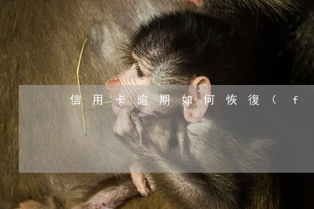 信用卡逾期如何恢復(fù)