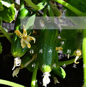 信用卡逾期如何才會(huì)被起訴(欠銀行信用卡逾期多久會(huì)被起訴)