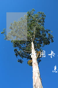 信用卡逾期如何才能不起訴(欠信用卡逾期被起訴怎么辦)