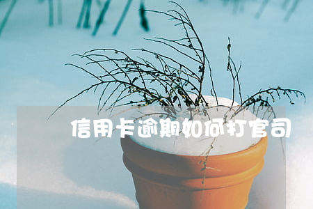 信用卡逾期如何打官司