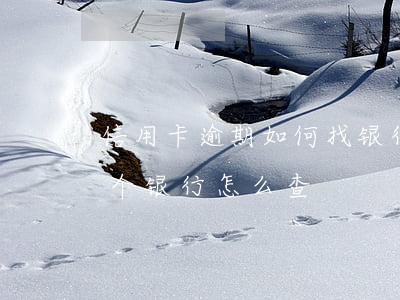 信用卡逾期如何找银行(信用卡逾期不知道哪个银行怎么查)