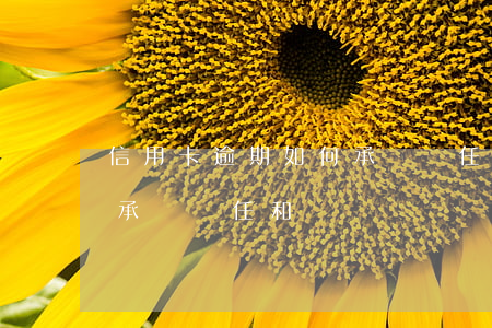 信用卡逾期如何承擔責任-信用卡逾期如何承擔責任和擔當
