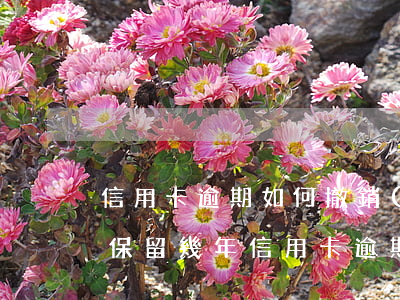 信用卡逾期如何撤銷(xiāo)征信記錄保留幾年（信用卡逾期如何撤銷(xiāo)征信記錄）