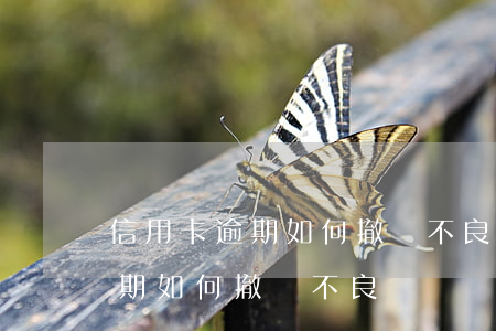 信用卡逾期如何撤銷不良記錄嗎-信用卡逾期如何撤銷不良記錄嗎知乎