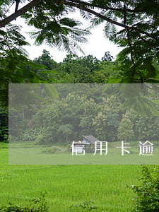 信用卡逾期如何收取(信用卡逾期如何收取律師費)
