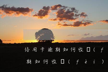 信用卡逾期如何收費(fèi)-信用卡逾期如何收費(fèi)合理