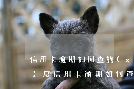信用卡逾期如何查詢(xún)進(jìn)度(信用卡逾期如何查詢(xún)進(jìn)度)