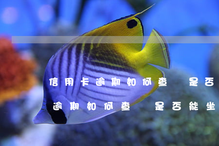 信用卡逾期如何查詢是否能坐高鐵-信用卡逾期如何查詢是否能坐高鐵了