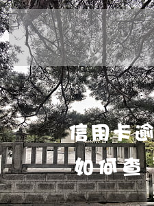 信用卡逾期如何查詢是否被起訴(信用卡逾期如何查詢是否被起訴)