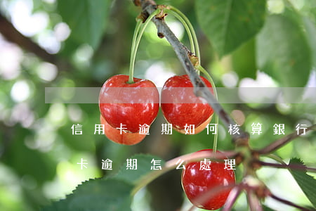 信用卡逾期如何核算(銀行對(duì)信用卡逾期怎么處理)