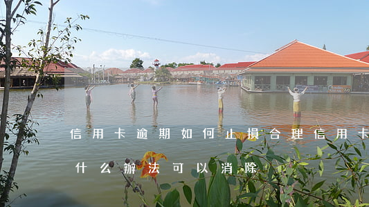 信用卡逾期如何止損合理(信用卡逾期有沒有什么辦法可以消除)