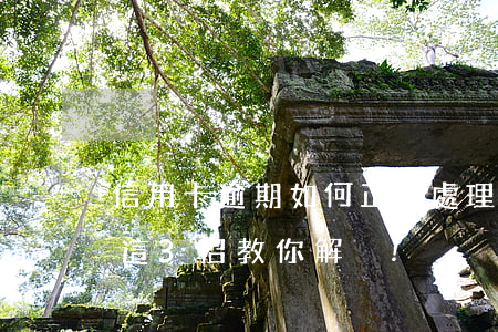 信用卡逾期如何正確處理(信用卡逾期怎么辦?這3招教你解決!)
