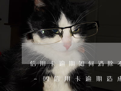 信用卡逾期如何消除不良影響廣發(fā)-因信用卡逾期造成的不良征信是否可以消除