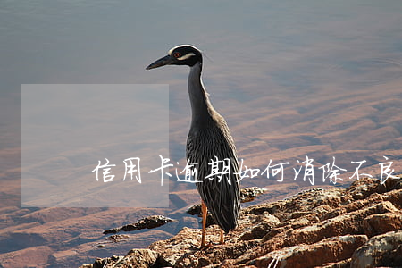 信用卡逾期如何消除不良記錄嗎