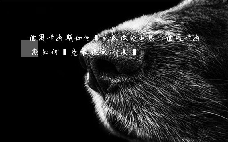 信用卡逾期如何減免最低的利息-信用卡逾期如何減免最低的利息費